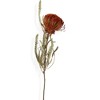 Alilang Dried Floral Bouquet with Pampas Grass, Eucalyptus, and Accents - Beige - 2 of 4