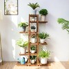Artloge Multi-tier Extra Large Wooden Plant Stand 52" Tall Carbonized Wood Flower Pot Holder Display Rack for Home & Garden - 4 of 4
