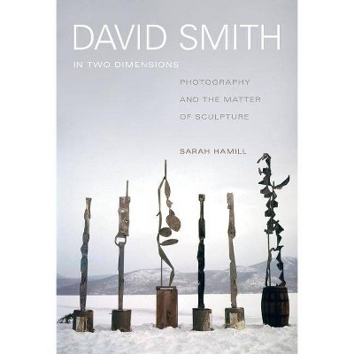 David Smith in Two Dimensions - by  Sarah Hamill (Hardcover)