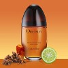 Calvin Klein Obsession Women Eau De Parfum Spray 1.7 Oz - 3 of 4