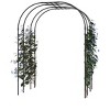 20MM Extra Wide Grape Vine Trellis - 47.3 x 59 x 94.5 Inch Metal Garden Arch for Heavy-Duty Plant Support - 3 of 4