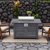 FURNIinspire Outdoor Fireplaces Backyard Rectangular Hollow Iron Stove with Glass Cover, Outdoor Heater, Patio Fire Pit, Gray, 24.8"*41.7"*24" - 2 of 4