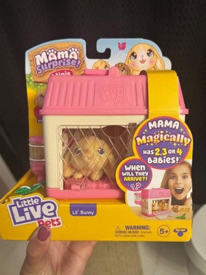 Little Live Pets - Mama Surprise Minis. Feed and Nurture a Lil' Mouse. She  has 2, 3, or 4 Babies with Surprise Accessories to Dress Up The Babies for