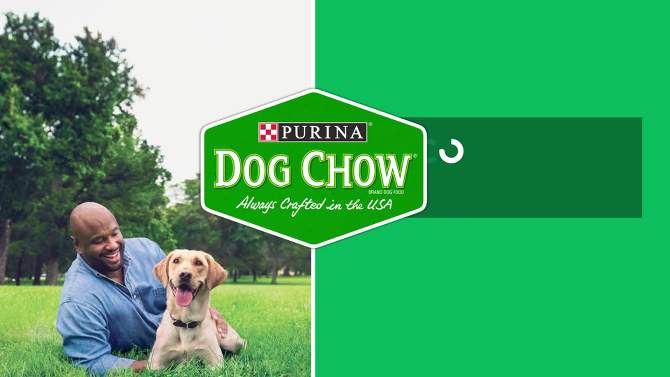 Dog Chow Complete &#38; Balanced Adult Dry Dog Food with Real Beef Flavor - 40lbs, 2 of 3, play video