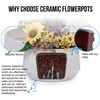 NAYSAYE Planter Set of 2 Ceramic Flowerpot Gloss White Sleek Modern Design for Indoor Outdoor Garden, Gloss White, 11.3"*11.3"*6.5" - 4 of 4