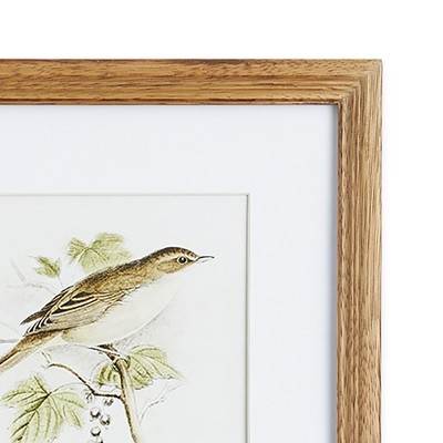 Natural Sepia Bird Study Set of Four Petite Prints