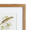 Plum & Post Perching Bird Study Petite, Set Of 4 - 3 of 3