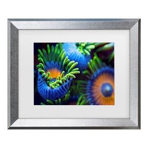 Trademark Fine Art - Santiago Pascual Buye The Colors Of The Reef Ii Matted Framed Art - 1 of 4
