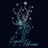 Girl's Harry Potter Expecto Patronum T-Shirt - 2 of 4
