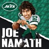 MasterPieces 100 Piece Puzzle - New York Jets All-Time Greats - Joe Namath - 3 of 4