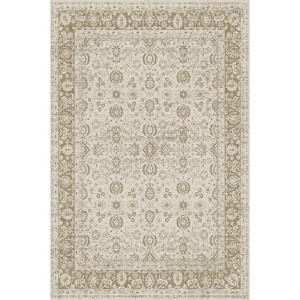 Vintage Boho Distressed Area Rug Floral Oriental Print Ultra Thin Machine Washable Low Pile & Non Slip for Living Room Bedroom High Traffic Zones - 1 of 1