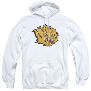 University of Arkansas at Pine Bluff Official Distressed Primary Adult Pull-Over Hoodie - 1 of 4