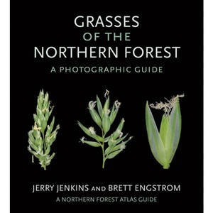 Grasses of the Northern Forest - (Northern Forest Atlas Guides) by  Jerry Jenkins & Brett Engstrom (Paperback) - 1 of 1