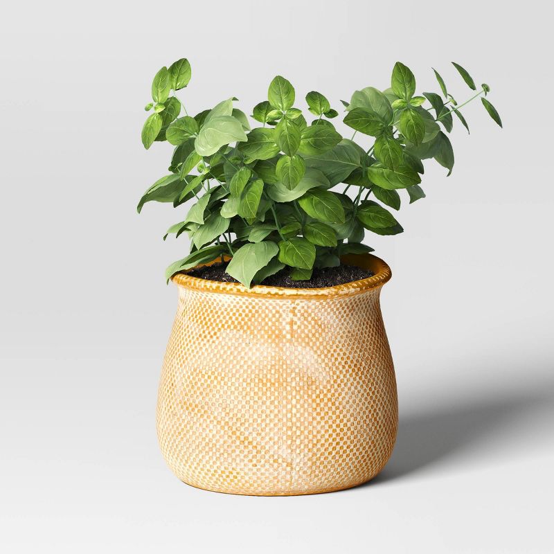Antique Finish Ceramic Indoor Outdoor Novelty Planter 1 Planter Pot Cream - Threshold™, 4 of 6
