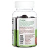 Lifeable Moringa Leaf Extract 4000mg - Great Tasting Natural Flavor Gummy Supplement Vitamins - Non-GMO Gluten Free Vegan Chewable - Antioxidant - 3 of 4