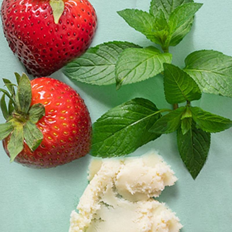 eos 100% Natural &#38; Organic Lip Balm - Sweet Mint, Strawberry Sorbet &#38; Vanilla Bean - 0.14oz/3pk, 3 of 8