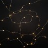 LumaBase Battery-Operated LED Fairy String Lights, Warm White - Set of 2 - 4 of 4