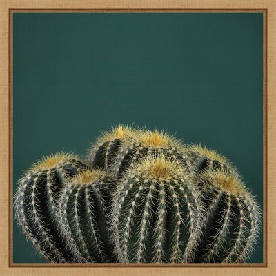 Cactus I Green and Yellow Canvas Wall Art with Maple Frame