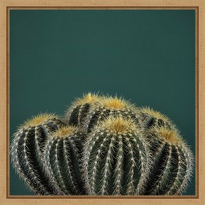 Amanti Art Cactus I by Andre Eichman Canvas Wall Art Print Framed 16 x 16-in. - 1 of 4