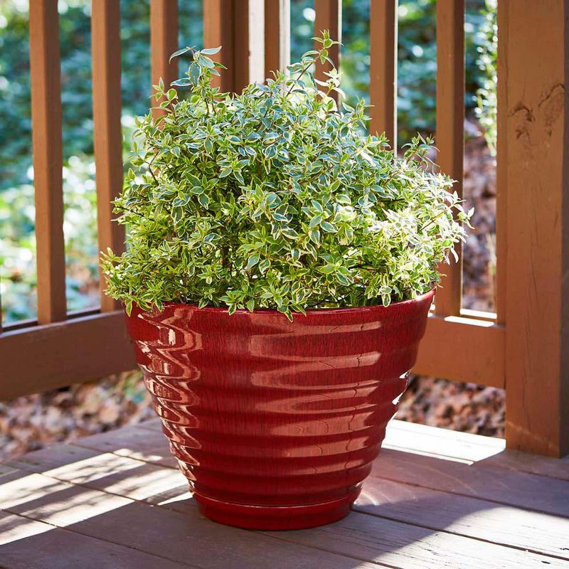 Beehive Planter - Southern Patio, 4 of 6
