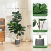 Garvee 4/5/6/7FT Fiddle Leaf Fig Tree Artificial with Leaves - Realistic Faux Ficus Lyrata Trees in Grey Planter Pot, Indoor Fake Floor Plants - 4 of 4