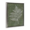 Stupell Industries Asymmetrical Fern Plant, 21" x 17" - 3 of 4