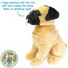 Princeton The Pug - 13 Inch Stuffed Animal Plush - By Viahart - 4 of 4