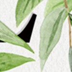 farmhouse gray
