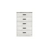 Signature Design by Ashley Casual Shawburn Chest of Drawers, Whitewash/Charcoal Gray - 3 of 4