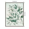 Amanti Art Eucalyptus 1 Green by Pernille Folcarelli Canvas Wall Art Print Framed 18 x 24-in. - 4 of 4