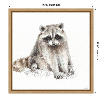 Lisa Audit Framed Raccoon Canvas Wall Art Print 16" x 16"