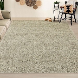 Acekool Shaggy Plush Area Rugs - 1 of 4