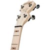Deering Goodtime Nickel Banjo - 4 of 4