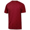 NCAA Arkansas Razorbacks Men's Poly T-Shirt - image 2 of 3