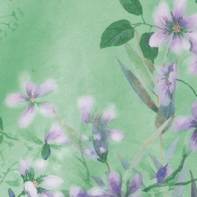 sage