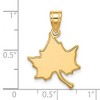 Black Bow Jewelry 10k Yellow Gold Indiana State Sycamores NCAA Large Pendant - 3 of 4