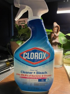 Clorox Rain Clean Scent Clean-up All Purpose Cleaner With Bleach Spray ...