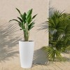 Dexmalle Set of 2 Faux Rattan Tall Planters Outdoor Indoor Large Planters with Water Level Monitor Inner Bucket - 2 of 4