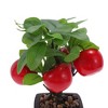 Unique Bargains Artificial Plants Plastic Orange 3.15"x3.15"x9.06" 1 Pcs - 4 of 4