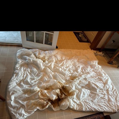 Guest review image 2 of 3, zoom in