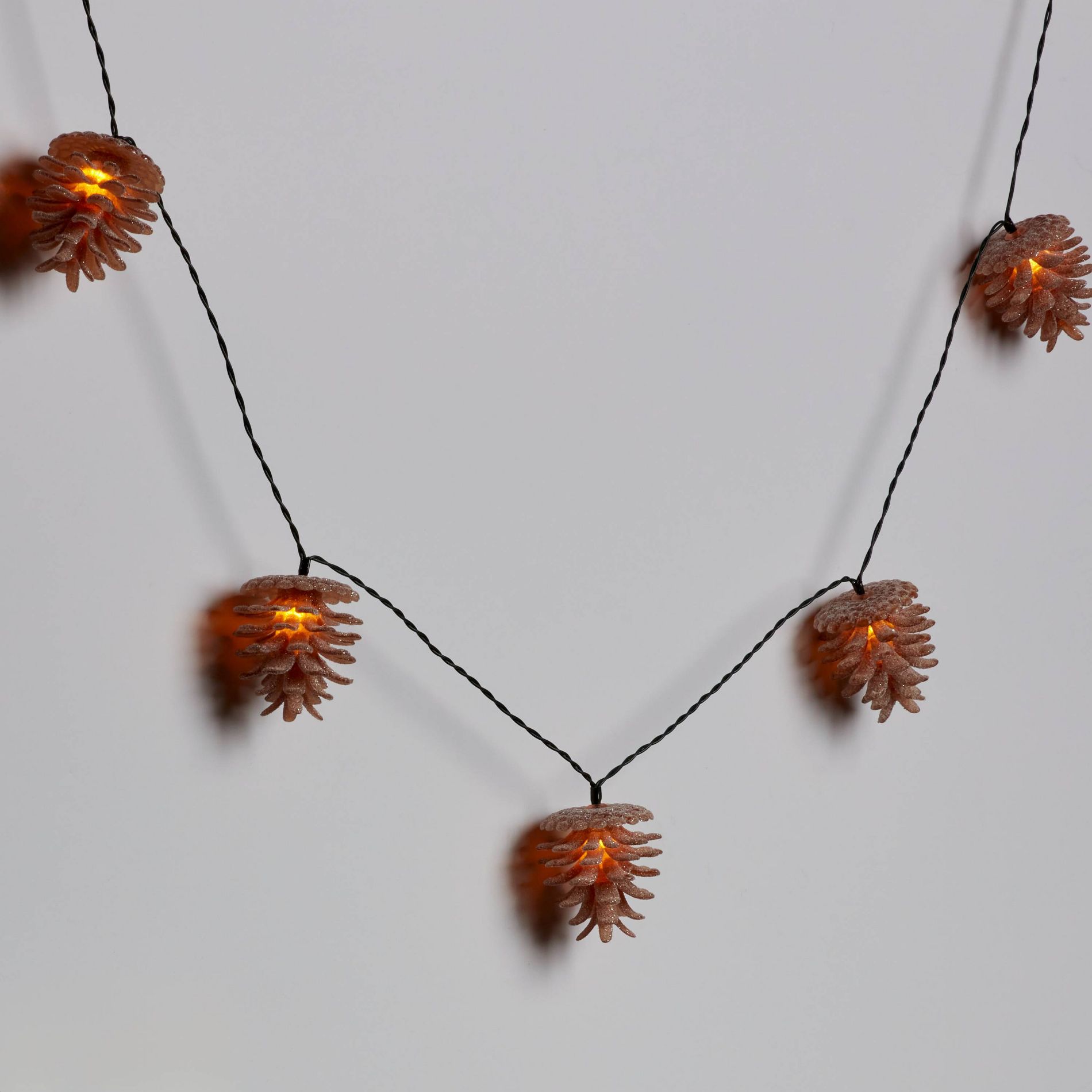 10ct LED Battery Operated Sugared Pinecone Christmas Indoor/Outdoor Novelty String Lights Warm White with Green Wire - Wondershop™