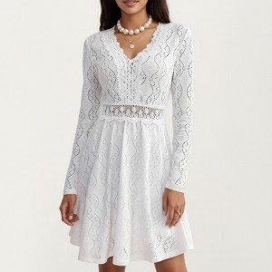 Anna-Kaci Women's Long Sleeve Lace Mini Dress with V-Neckline and Sheer Waist Detail - 1 of 4