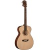 Washburn AF5K-A F5 Apprentice Series Folk Acoustic Guitar - 2 of 2