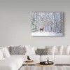 Trademark Fine Art -D. Rusty Rust 'Big Buck     ' Canvas Art - 3 of 3