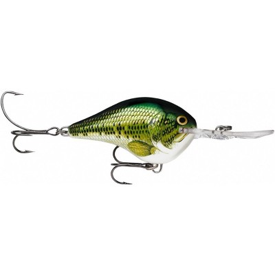 baby bass