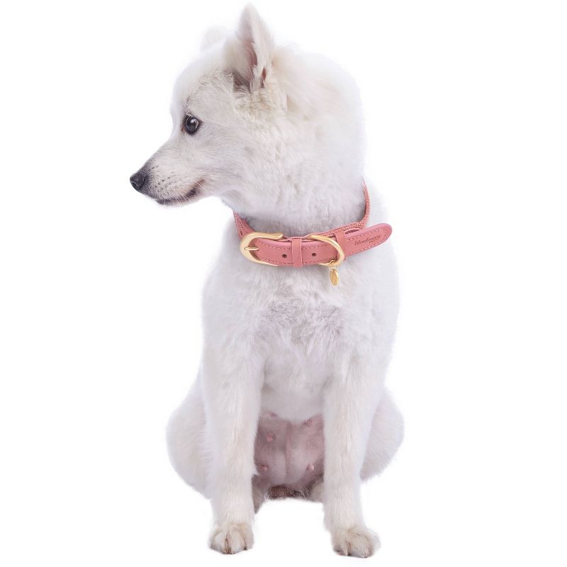 Blueberry Pet Polyester and Leather Dog Collar, 4 of 5