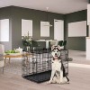 FDW Dog Crate for Large Dogs 42 Inch Folding Metal WirePet Cage Double Door W/Divider Panel Indoor Outdoor Kennel Leak-Proof Plastic Tray,Black - 2 of 4