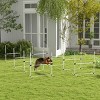 8 Piece Dog Agility Training Set with Adjustable Jump Bars and Carrying Bag for Outdoor Exercise and Obedience Training - LAOTIES - 2 of 4