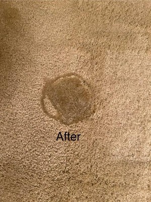 Guest review image 2 of 2, zoom in