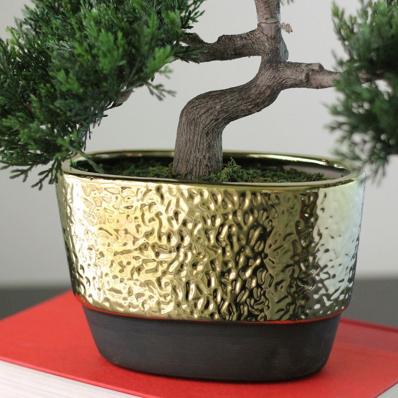 Northlight 10" Unlit Artificial Potted Japanese Bonsai Tree, 3 of 5